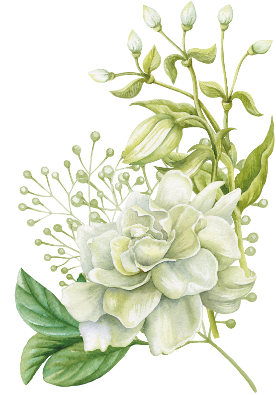 Viện Thẩm Mỹ YB Spa