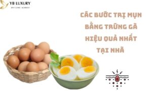 cách trị mụn bằng trứng gầ
