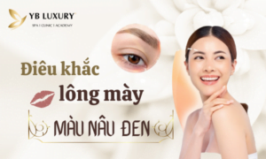 điêu khắc lông mày màu nâu đen