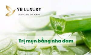 trị mụn bằng nha đam