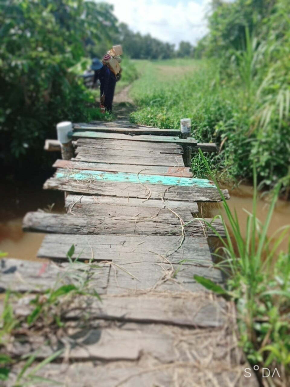 Chiếc cầu cũ đơn sơ của bà con Ba Tri - Bến Tre