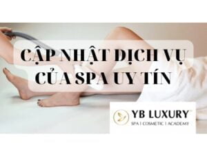 4de63335311ef640af0f