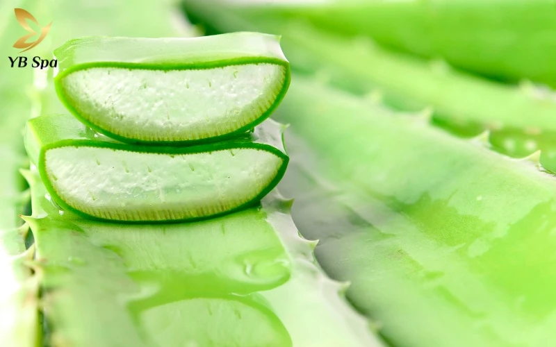 Wax nha đam là lựa chọn hoàn hảo cho làn da nhạy cảm nhờ khả năng làm dịu và giảm đỏ rát tức thì ngay sau khi nhổ lông