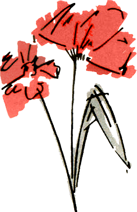 Flowers For Florists Logo Transparent 489x489 1