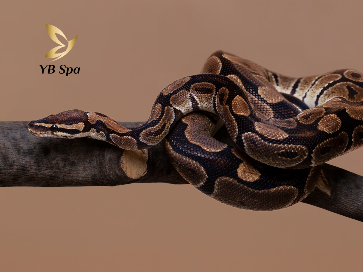 mo-tran-co-an-toan-khong