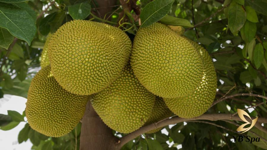 ăn mít có nổi mụn