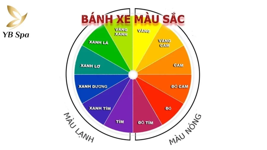Bánh xe màu sắc tiêu chuẩn trong phun xăm thẩm mỹ với sự phân chia rõ rệt giữa tông màu ấm (Warm) và tông màu lạnh (Cool).