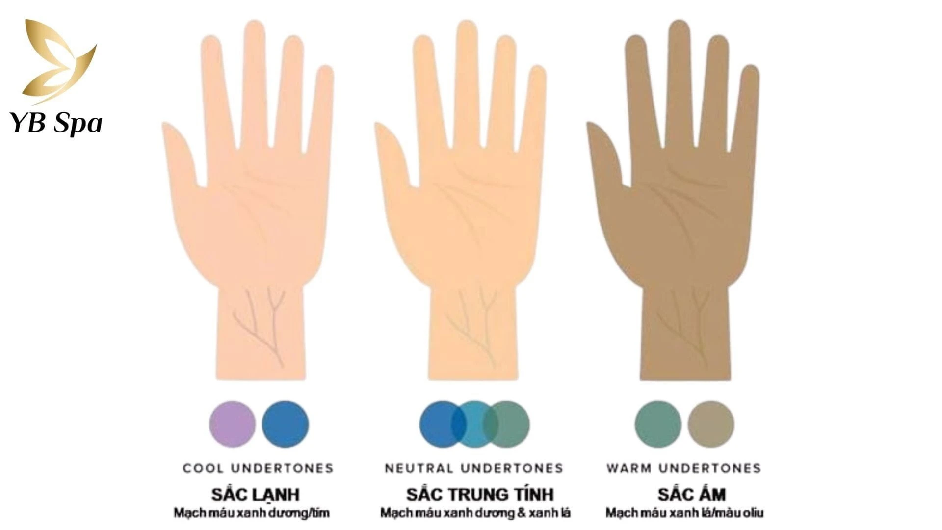 Undertone là màu sắc nằm dưới bề mặt da và không bao giờ thay đổi. Để xác định mình thuộc tone nào, bạn hãy nhìn vào đường tĩnh mạch ở cổ tay.