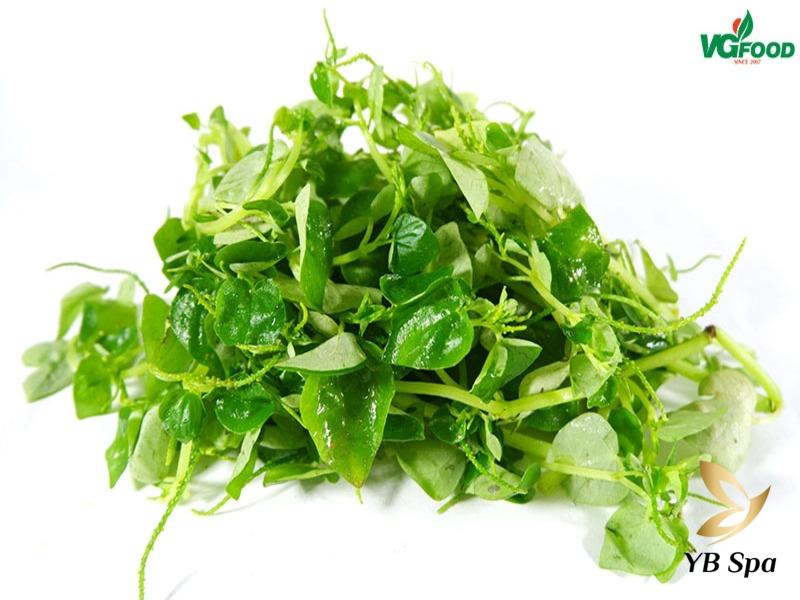 Bị mụn nên ăn rau gì? Nên kiêng ăn rau gì khi bị mụn? 23 Rau càng cua có vị ngọt dễ ăn, làm giảm nồng độ axit uric trong máu giúp giải độc, mát gan