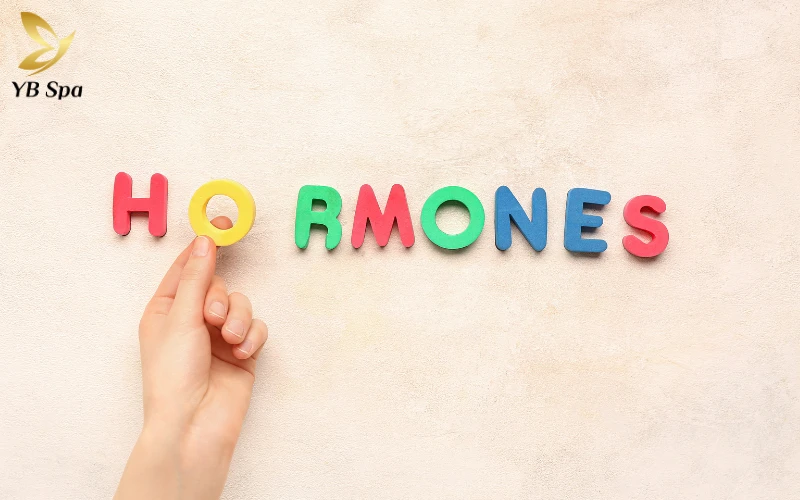 trái cây giúp Điều hòa hormone nội tiết