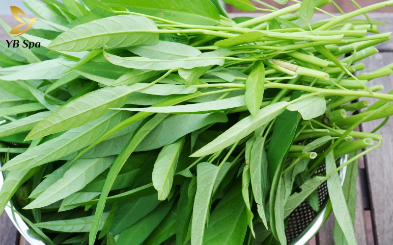 Bị sẹo lõm có nên ăn rau muống không? 28 Thành phần dinh dưỡng của rau muống