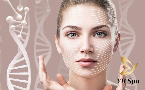 các loại tiêm meso