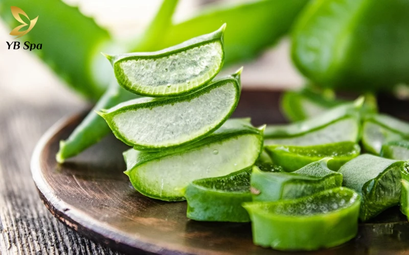 Cách chữa mụn nhọt sưng to an toàn, hiệu quả 27 Gel Nha Đam (Lô Hội) Tươi