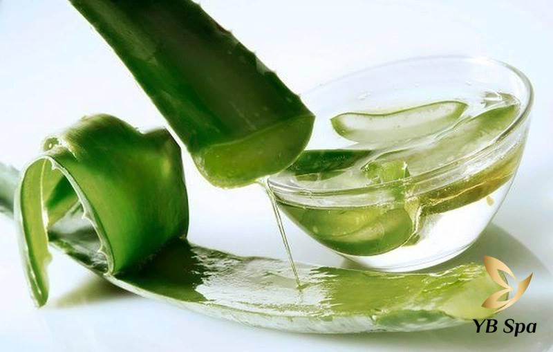 11 Cách làm trắng da bằng kem đánh răng an toàn, hiệu quả 35 Nha đam