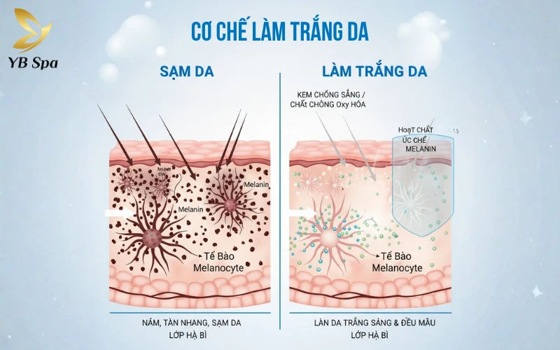 Cách làm trắng da trong 1 đêm cấp tốc, an toàn 23 Quy trình làm trắng da khoa học