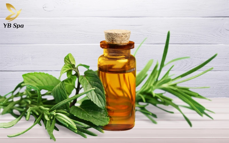 Cách làm xẹp mụn sưng đỏ sau 1 đêm an toàn, cấp tốc 27 Dầu tràm trà