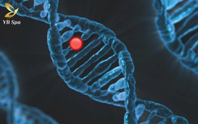 4 Cách nhận biết cơ địa sẹo lồi và cách phòng ngừa 22 Yếu tố di truyền là nguyên nhân hình thành sẹo lồi