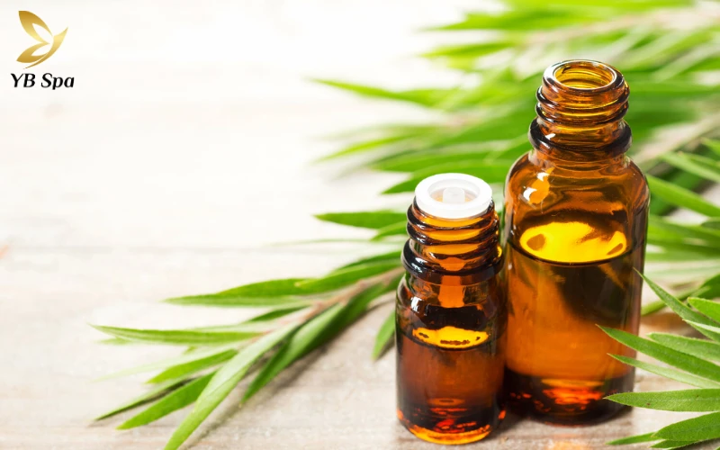 6 cách trị mụn bọc cho da nhờn, giảm sưng trong 24 giờ 14 Tận dụng sức mạnh từ "kháng sinh tự nhiên" Terpinen-4-ol để tiêu diệt vi khuẩn mụn và làm dịu làn da dầu nhạy cảm.