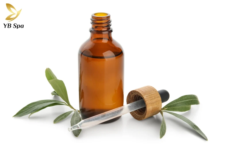 Cách trị mụn bọc nhanh nhất trong 1 đêm an toàn và khoa học 35 Tinh dầu tràm trà (Tea Tree Oil) - Sát khuẩn mạnh mẽ