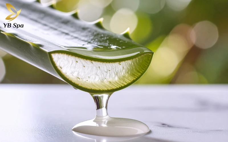 Cách trị mụn bọc nhanh nhất trong 1 đêm an toàn và khoa học 32 Gel nha đam tươi - Làm dịu tức thì