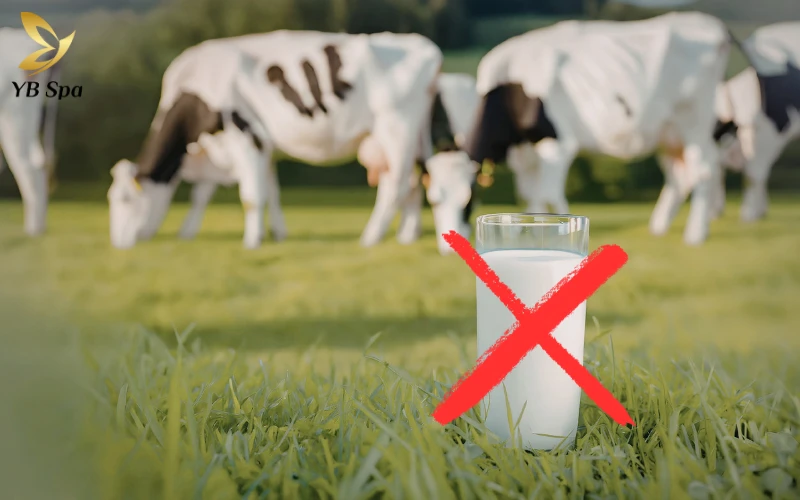 16+ Cách trị mụn bọc ở cằm tại nhà hiệu quả từ thiên nhiên 24 Cắt giảm sữa bò trong chế độ ăn hàng ngày là bước quan trọng giúp cơ thể cân bằng nội tiết và hỗ trợ quá trình trị mụn hiệu quả hơn