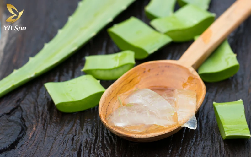 16+ Cách trị mụn bọc ở cằm tại nhà hiệu quả từ thiên nhiên 18 Nha đam không chỉ giúp gom cồi mụn hiệu quả mà còn cung cấp độ ẩm cần thiết để vùng da quanh mụn không bị bong tróc hay khô ráp.