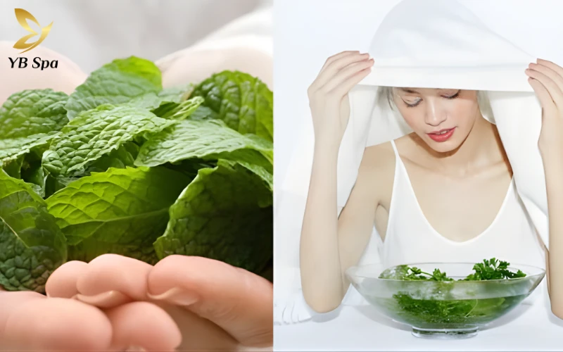 Xông hơi da mặt bằng lá bạc hà