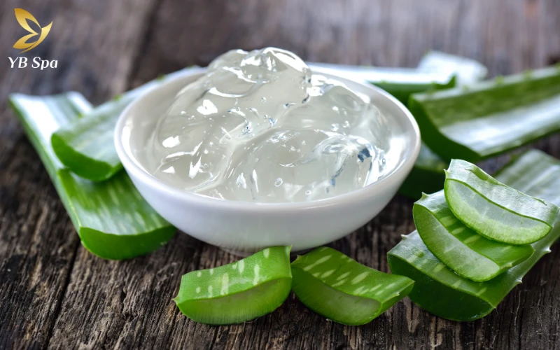 Cách trị mụn thịt ở cổ bằng gel nha đam (Aloe Vera)