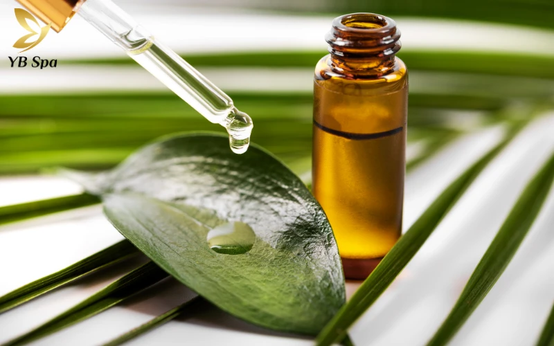 Cách trị mụn thịt ở cổ bằng Dầu cây trà