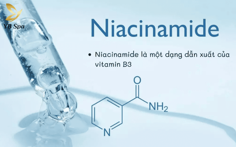 Niacinamide (Vitamin B3) giúp duy trì làn da mịn màng bằng cách cân bằng bã nhờn và ức chế sự hình thành vết thâm sau mụn
