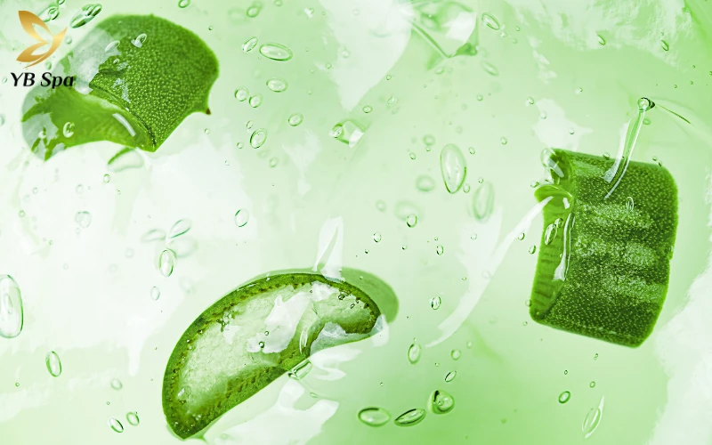 Làm mờ nám bằng nha đam (lô hội)