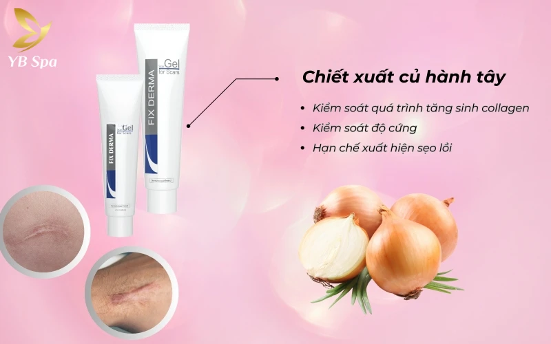 Gel trị sẹo chiết xuất hành tây (Allium Cepa)
