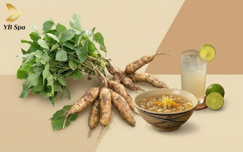 Thành phần dưỡng chất và tác dụng làm đẹp của bột sắn dây