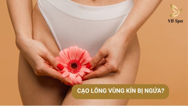 Tại sao cạo lông vùng kín lại bị ngứa và cách khắc phục 14 Cao Long Kin Bi Ngua