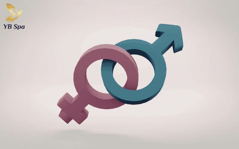 Chu kỳ phát triển của sợi lông: 3 giai đoạn mọc – nghỉ – rụng và cơ chế tái sinh 28 Sự ảnh hưởng của hormone giải thích lý do tại sao nam giới thường có mật độ lông cơ thể dày và cứng hơn so với nữ giới