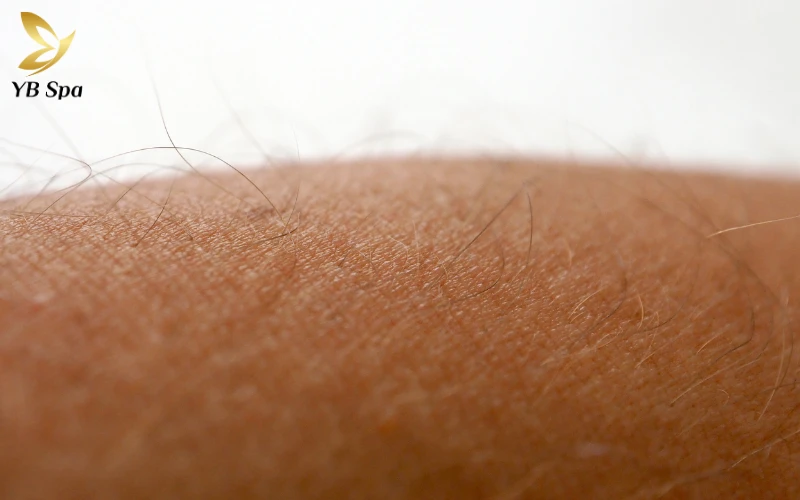 Hiểu rõ tính chất sợi lông của bản thân là chìa khóa quan trọng để bạn chọn đúng công nghệ và tối ưu hóa chi phí làm đẹp