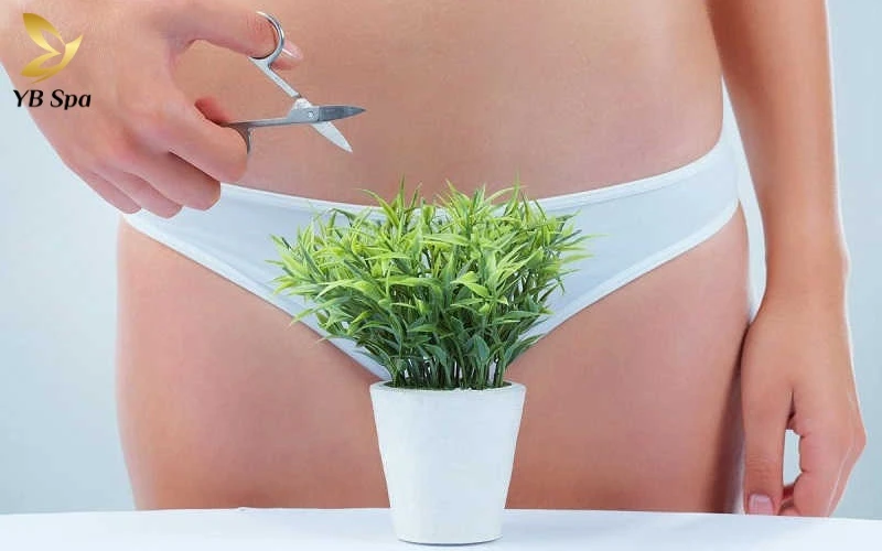 Đàn ông có thích phụ nữ triệt lông vùng kín không? 13 Giải pháp cắt tỉa giúp loại bỏ sự rậm rạp tức thì, mang lại sự tự tin và thẩm mỹ tối ưu cho phái đẹp