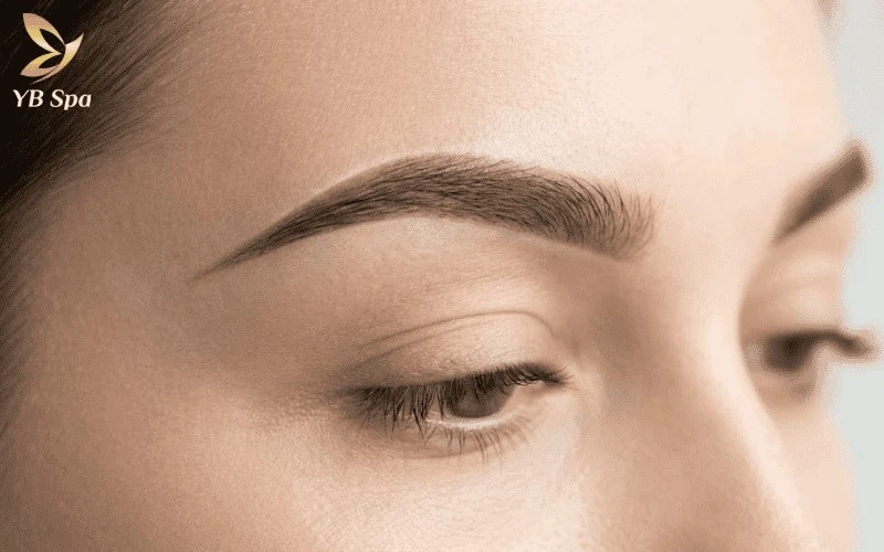 Lông mày lá liễu là biểu tượng của vẻ đẹp truyền thống, mang lại nét thanh tú và dịu dàng đặc trưng cho phụ nữ Việt