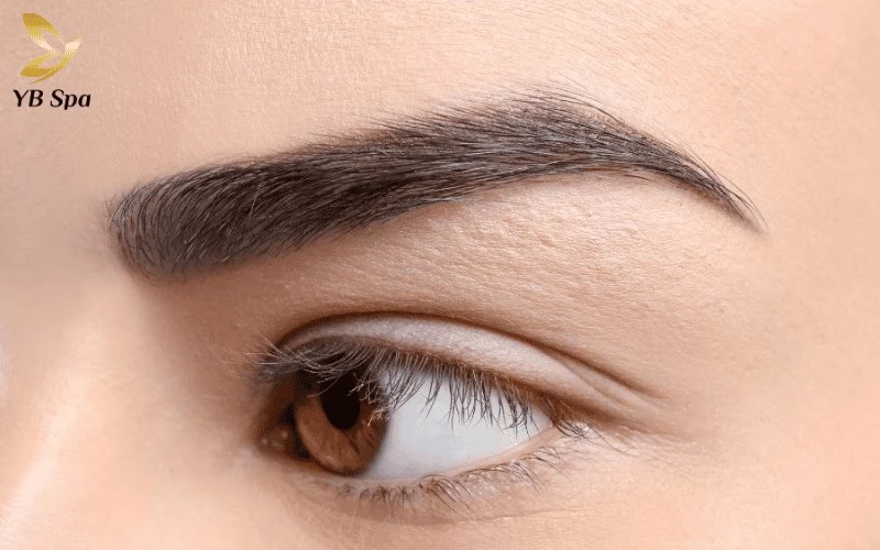 Lông mày chữ V là "cứu tinh" hoàn hảo cho gương mặt tròn, giúp tạo hiệu ứng thon gọn và thanh thoát hơn tức thì