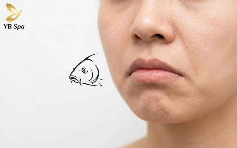 Miệng cá chép có hình dáng đặc trưng giống miệng cá, với khóe môi trễ xuống.