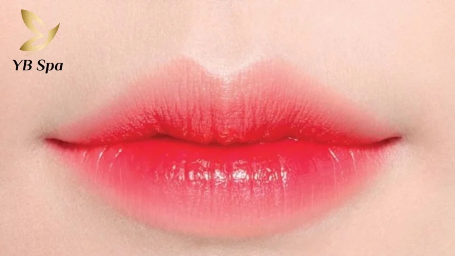 Nhận diện đặc điểm môi trái tim: đỉnh nhân trung, đường cong môi trên, rãnh môi dưới và khóe môi.