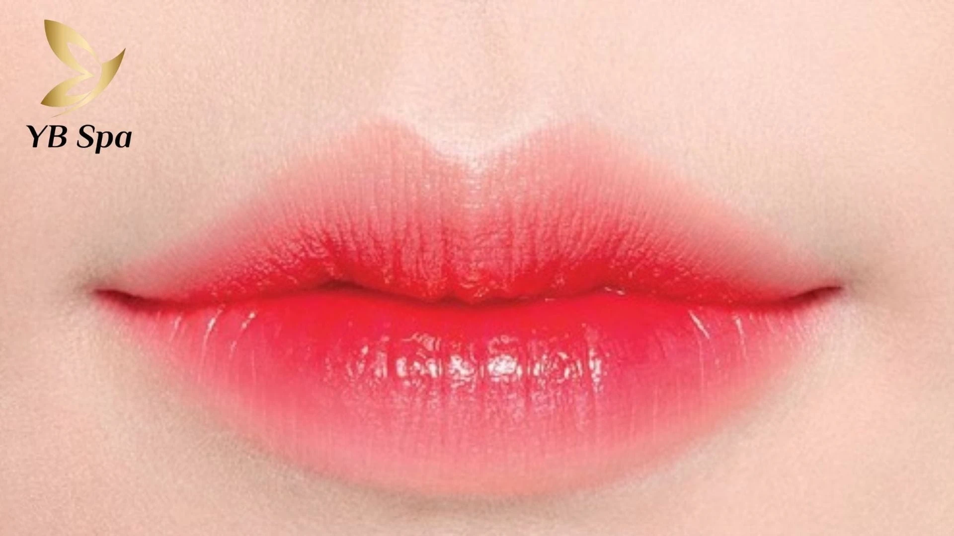 Nhận diện đặc điểm môi trái tim: đỉnh nhân trung, đường cong môi trên, rãnh môi dưới và khóe môi.