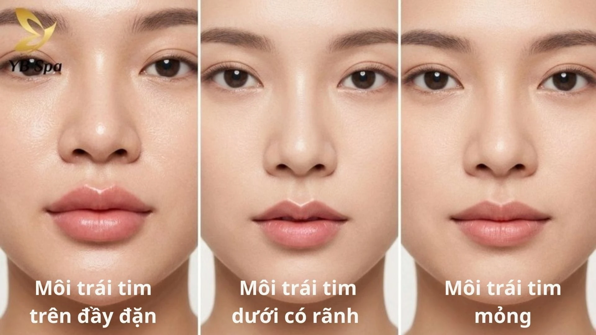 Đa dạng các kiểu môi trái tim, từ đầy đặn đến thanh mảnh, phù hợp hài hòa với từng gương mặt.