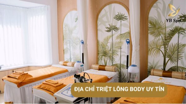 Dia Chi Triet Long Body