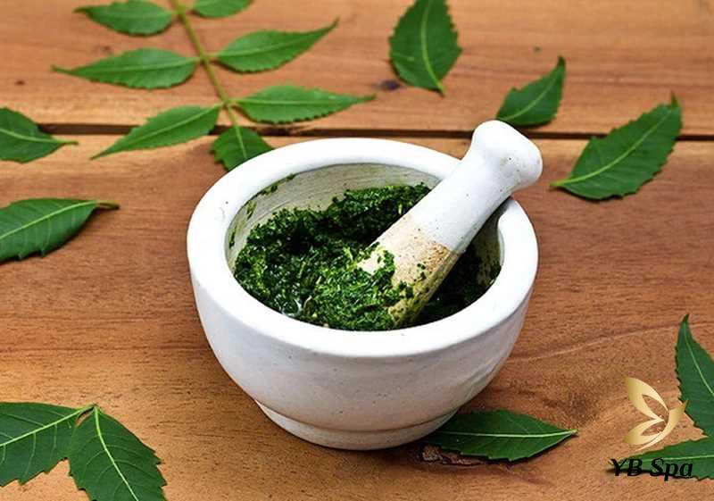 Lá dâm bụt giã nhuyễn