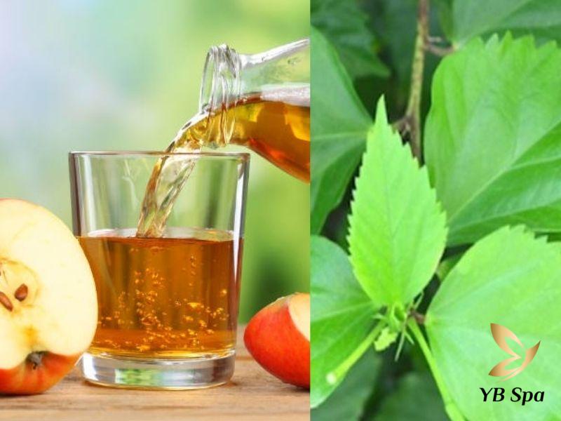 Giấm táo và lá râm bụt