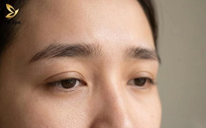 Lông mày chữ Bát là gì? Có nên sửa lông mày chữ Bát không? 1