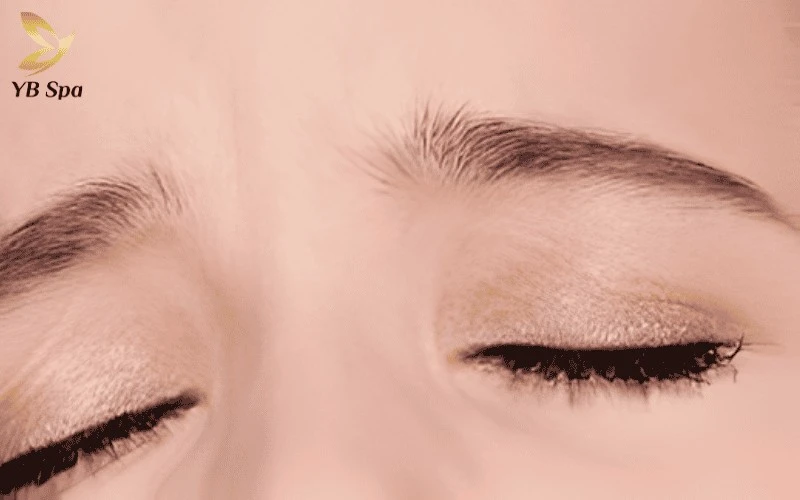 Người có dáng mày chữ Bát thường gặp nhiều biến động và thử thách trong sự nghiệp, đặc biệt là trong giai đoạn trung vận từ 30 đến 45 tuổi.