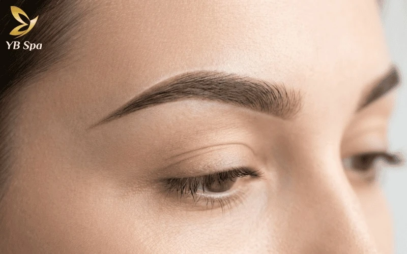 Lông Mày Lá Liễu: Ý Nghĩa Tướng Số, Khuôn Mặt Phù Hợp & Cách Tạo Dáng 8 Dáng lông mày lá liễu chuẩn tự nhiên