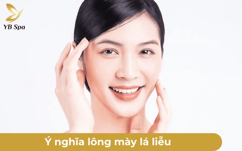 Lông Mày Lá Liễu: Ý Nghĩa Tướng Số, Khuôn Mặt Phù Hợp & Cách Tạo Dáng 10 Ý nghĩa lông mày lá liễu trong nhân tướng học